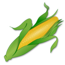 biomass-conversion
