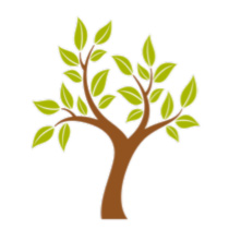 reforestation